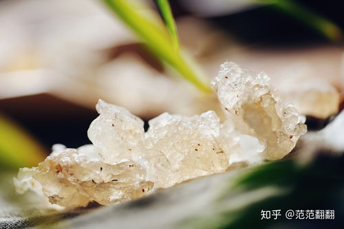 雪燕購買指南 品牌推薦與購買途徑詳解