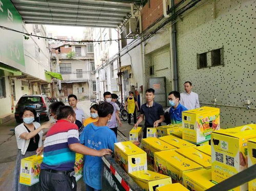 大龍街以購代捐 優質農產品認購，助力消費扶貧新篇章